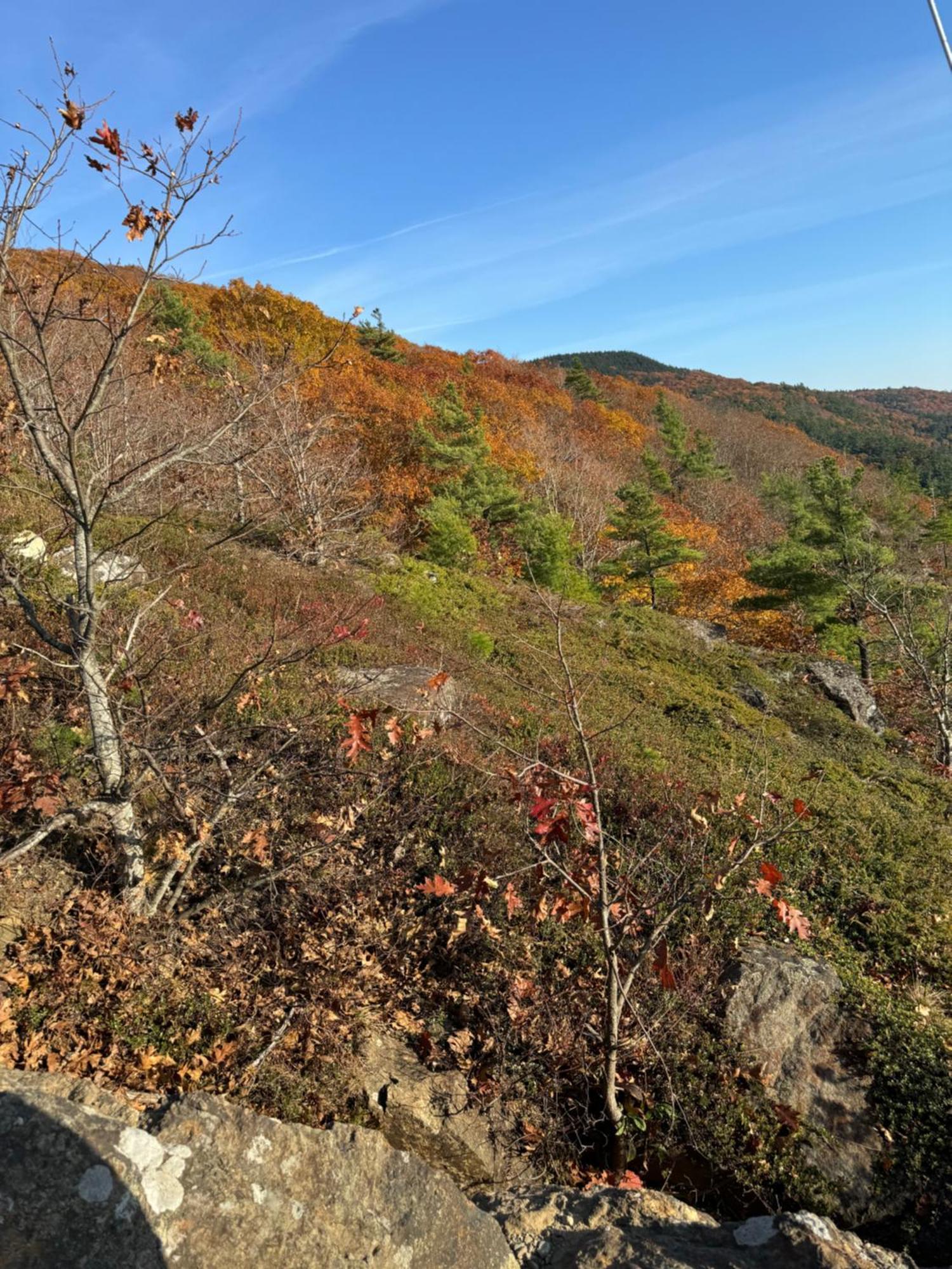 Hideaway Inn Maine Camden Luaran gambar